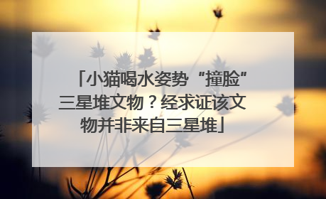 小猫喝水姿势“撞脸”三星堆文物？经求证该文物并非来自三星堆