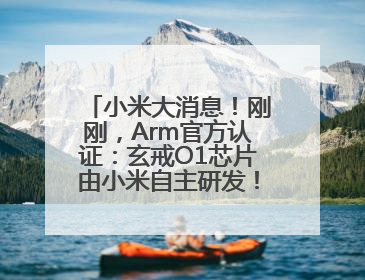 小米大消息！刚刚，Arm官方认证：玄戒O1芯片由小米自主研发！雷军此前称已开始大规模量产