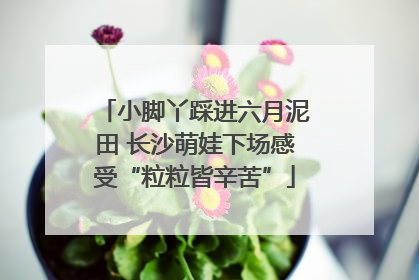 小脚丫踩进六月泥田 长沙萌娃下场感受“粒粒皆辛苦”