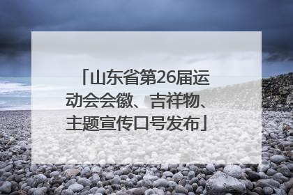 山东省第26届运动会会徽、吉祥物、主题宣传口号发布