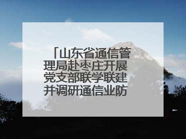 山东省通信管理局赴枣庄开展党支部联学联建并调研通信业防汛准备工作