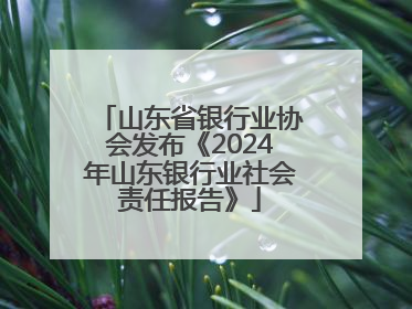 山东省银行业协会发布《2024年山东银行业社会责任报告》