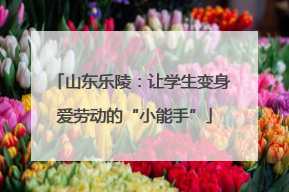 山东乐陵：让学生变身爱劳动的“小能手”