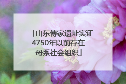 山东傅家遗址实证4750年以前存在母系社会组织