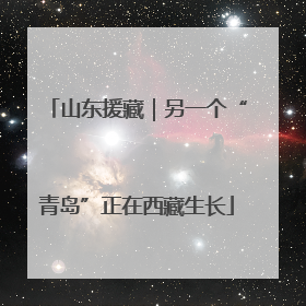 山东援藏｜另一个“青岛”正在西藏生长