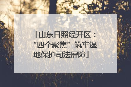 山东日照经开区：“四个聚焦”筑牢湿地保护司法屏障