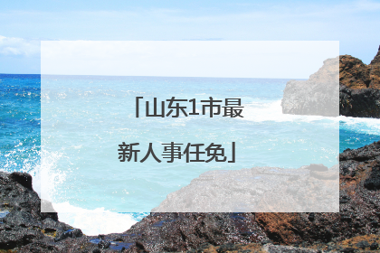 山东1市最新人事任免