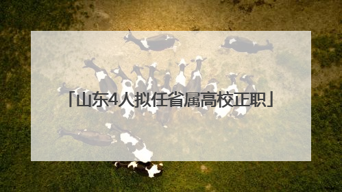 山东4人拟任省属高校正职