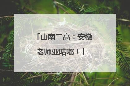 山南二高：安徽老师亚咕嘟！
