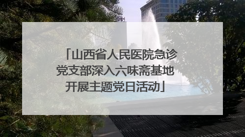 山西省人民医院急诊党支部深入六味斋基地开展主题党日活动