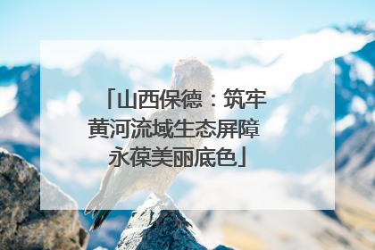 山西保德：筑牢黄河流域生态屏障 永葆美丽底色