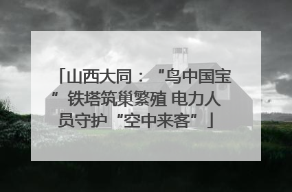山西大同：“鸟中国宝”铁塔筑巢繁殖 电力人员守护“空中来客”