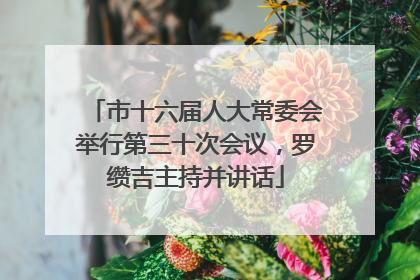 市十六届人大常委会举行第三十次会议，罗缵吉主持并讲话