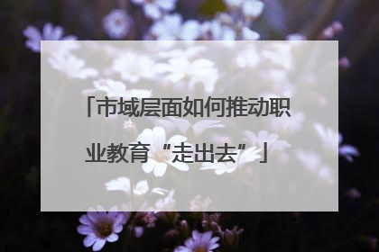 市域层面如何推动职业教育“走出去”