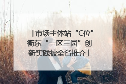 市场主体站“C位” 衡东“一区三园”创新实践被全省推介