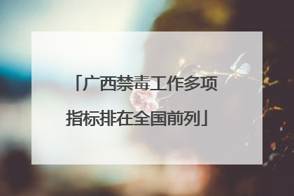 广西禁毒工作多项指标排在全国前列