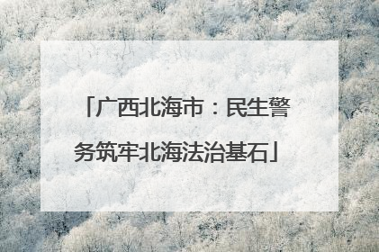 广西北海市：民生警务筑牢北海法治基石