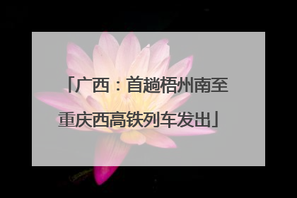 广西：首趟梧州南至重庆西高铁列车发出