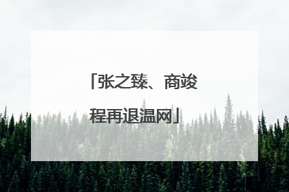 张之臻、商竣程再退温网