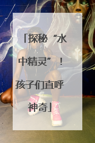 探秘“水中精灵”！孩子们直呼神奇