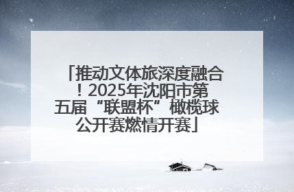 推动文体旅深度融合！2025年沈阳市第五届“联盟杯”橄榄球公开赛燃情开赛