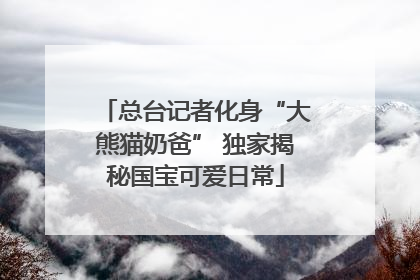 总台记者化身“大熊猫奶爸” 独家揭秘国宝可爱日常