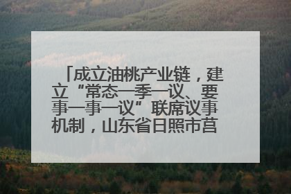 成立油桃产业链，建立“常态一季一议、要事一事一议”联席议事机制，山东省日照市莒县果庄镇——13个党小组“全周期”育果