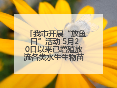 我市开展“放鱼日”活动 5月20日以来已增殖放流各类水生生物苗种5.1亿单位