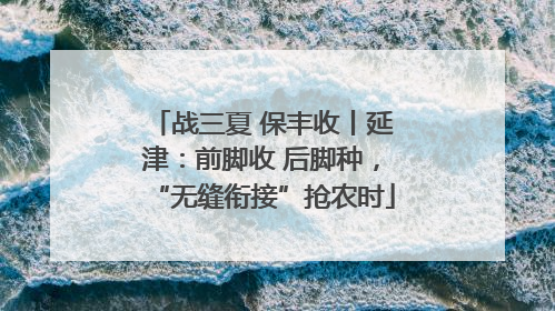 战三夏 保丰收丨延津：前脚收 后脚种，“无缝衔接”抢农时