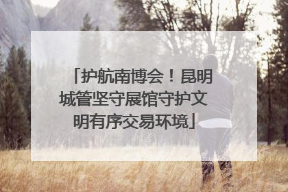 护航南博会！昆明城管坚守展馆守护文明有序交易环境