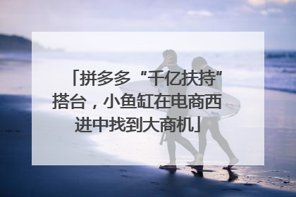 拼多多“千亿扶持”搭台，小鱼缸在电商西进中找到大商机