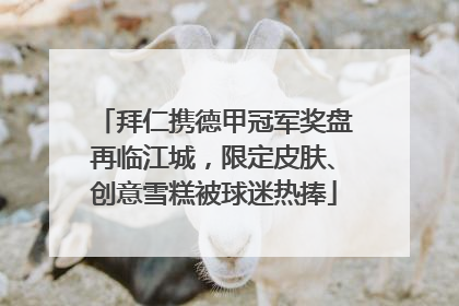 拜仁携德甲冠军奖盘再临江城，限定皮肤、创意雪糕被球迷热捧