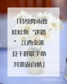 持续降雨致娃娃鱼“迷路” 江西金溪县干群联手助其重返自然