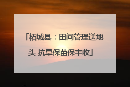 柘城县：田间管理送地头 抗旱保苗保丰收