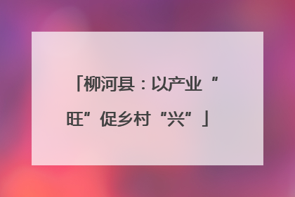 柳河县：以产业“旺”促乡村“兴”