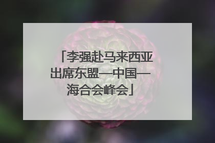 李强赴马来西亚出席东盟—中国—海合会峰会