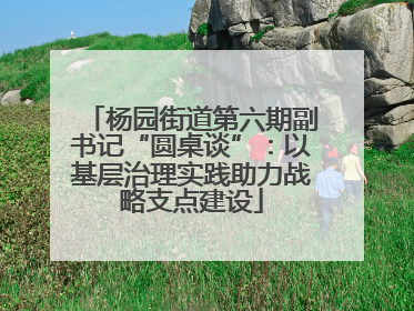 杨园街道第六期副书记“圆桌谈”：以基层治理实践助力战略支点建设
