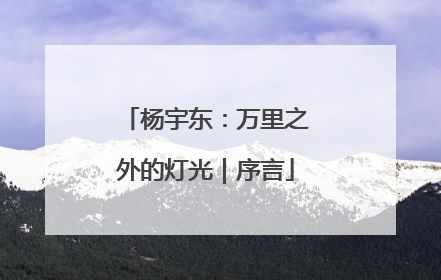 杨宇东：万里之外的灯光｜序言