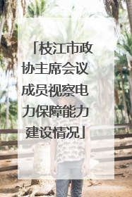 枝江市政协主席会议成员视察电力保障能力建设情况