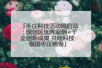 枣庄科技活动周启幕：国创区优秀案例+千企创新成果 共绘科技强国枣庄画卷
