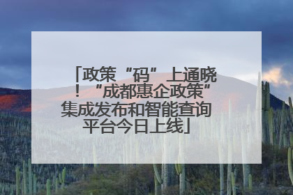 政策“码”上通晓！“成都惠企政策”集成发布和智能查询平台今日上线
