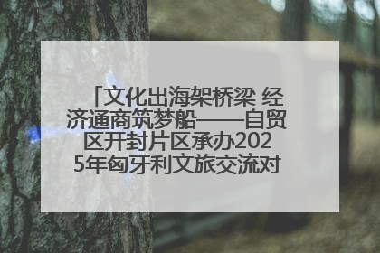 文化出海架桥梁 经济通商筑梦船——自贸区开封片区承办2025年匈牙利文旅交流对接活动专场
