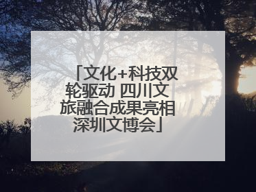 文化+科技双轮驱动 四川文旅融合成果亮相深圳文博会