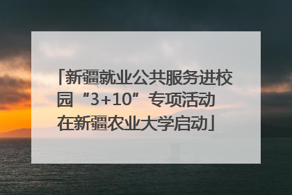 新疆就业公共服务进校园“3+10”专项活动在新疆农业大学启动