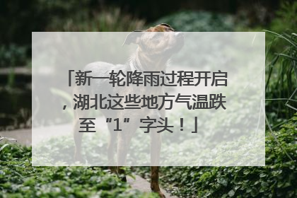 新一轮降雨过程开启，湖北这些地方气温跌至“1”字头！