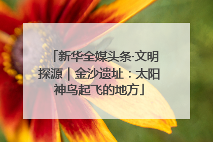 新华全媒头条·文明探源｜金沙遗址：太阳神鸟起飞的地方
