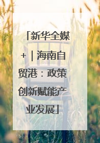新华全媒+｜海南自贸港：政策创新赋能产业发展