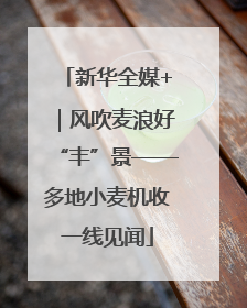 新华全媒+｜风吹麦浪好“丰”景——多地小麦机收一线见闻