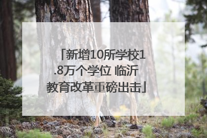 新增10所学校1.8万个学位 临沂教育改革重磅出击