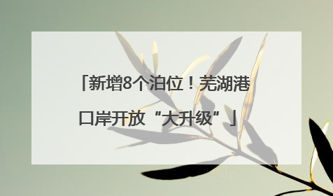 新增8个泊位!芜湖港口岸开放“大升级”